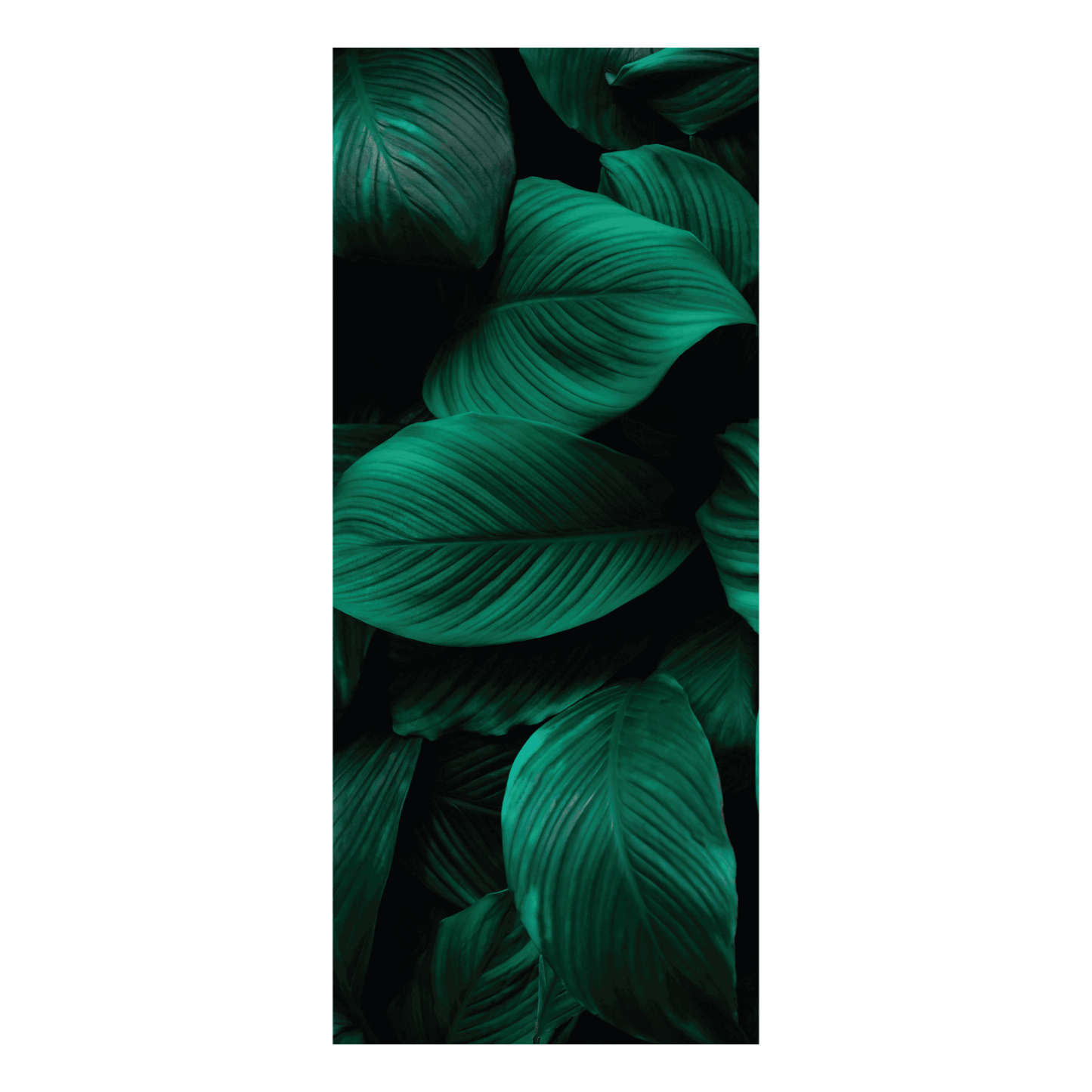 Termoarredo idraulico 180x74 cm interasse mm 50 Modello 'Leaf' Termocrea