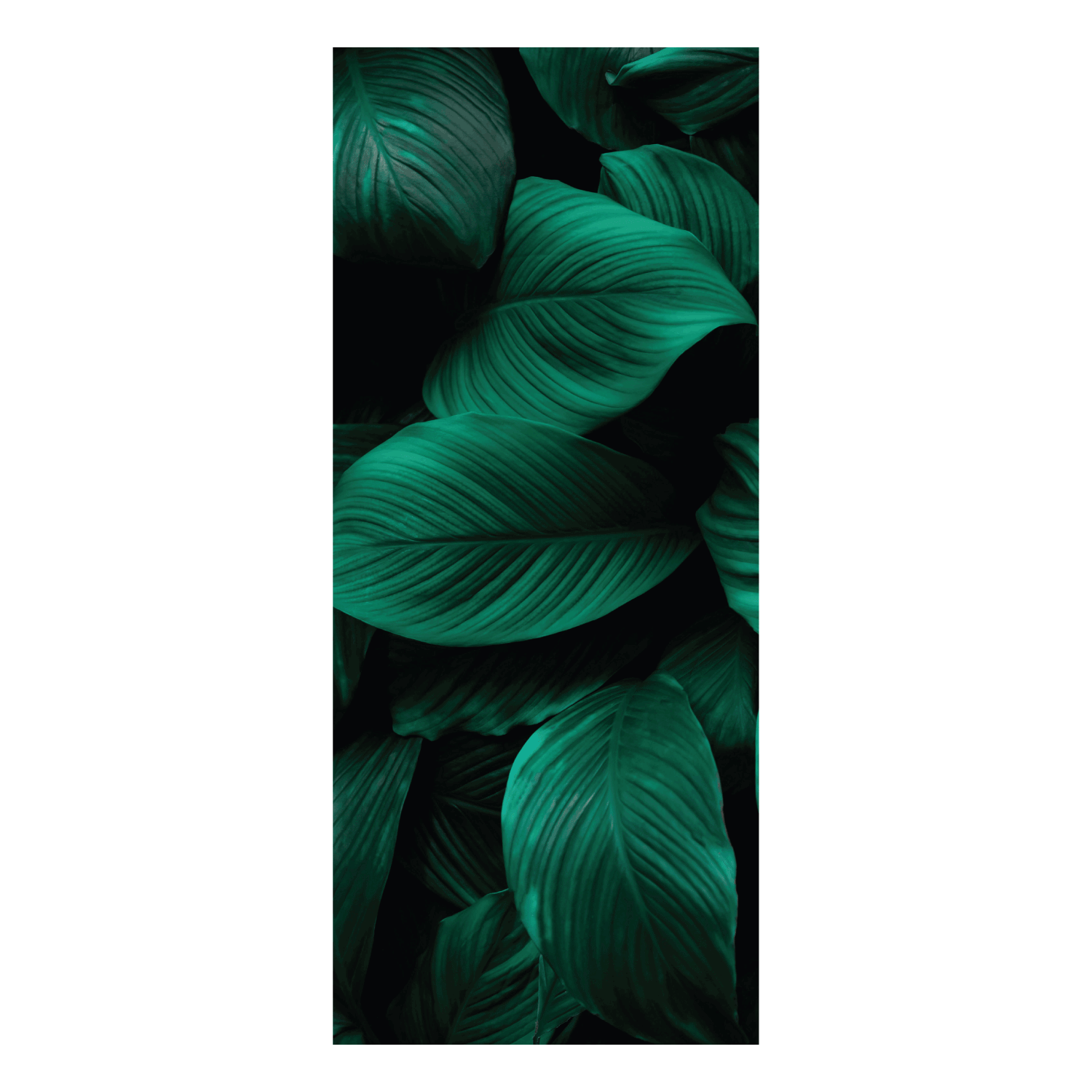 Termoarredo idraulico 180x74 cm interasse mm 50 Modello 'Leaf' Termocrea