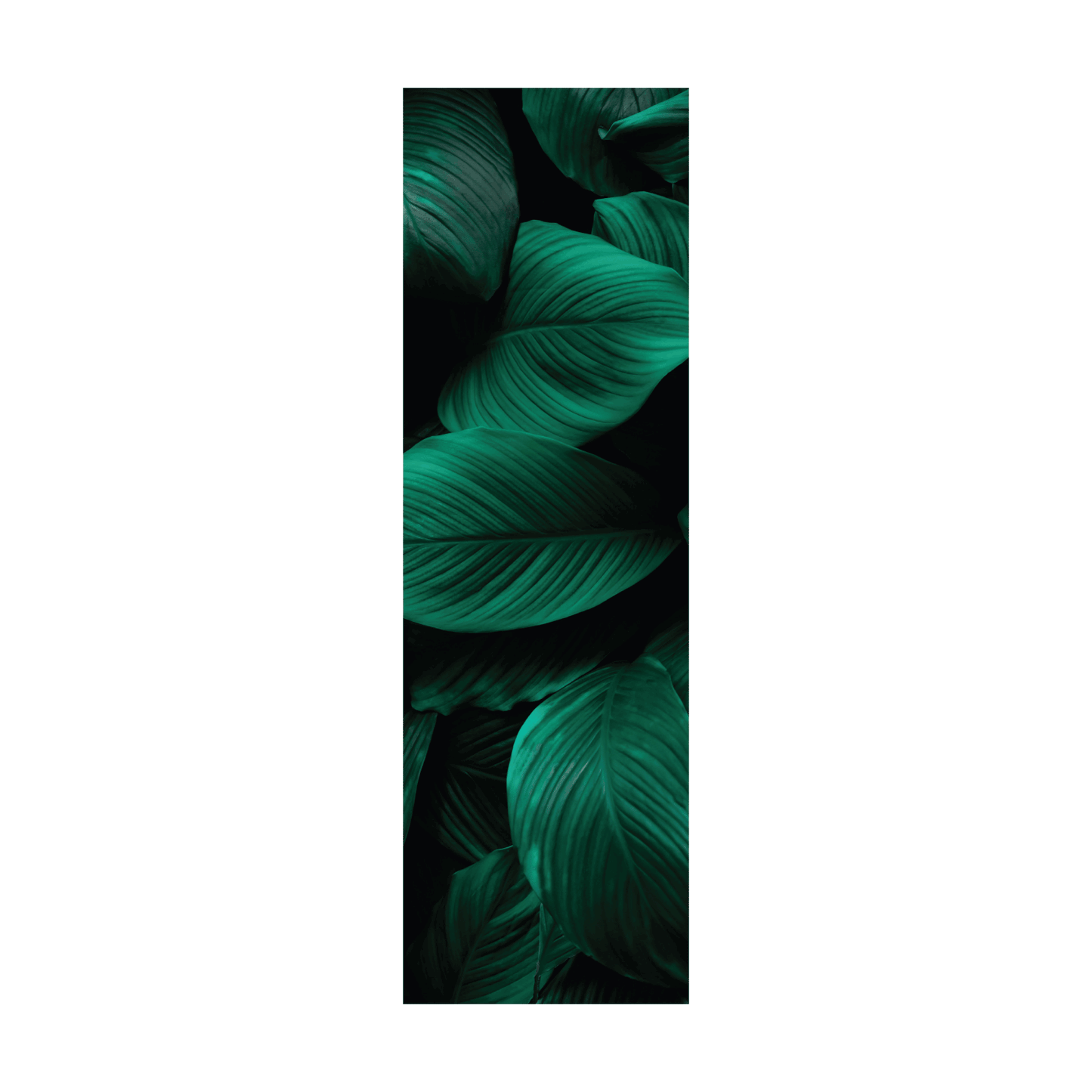 Termoarredo idraulico 200x59 cm interasse mm 50 Modello 'Leaf' Termocrea