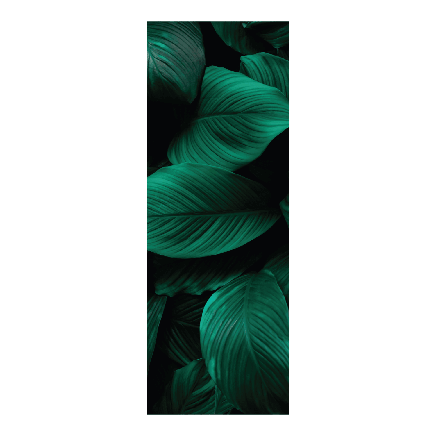 Termoarredo idraulico 150x51 cm interasse mm 50 Modello 'Leaf' Termocrea