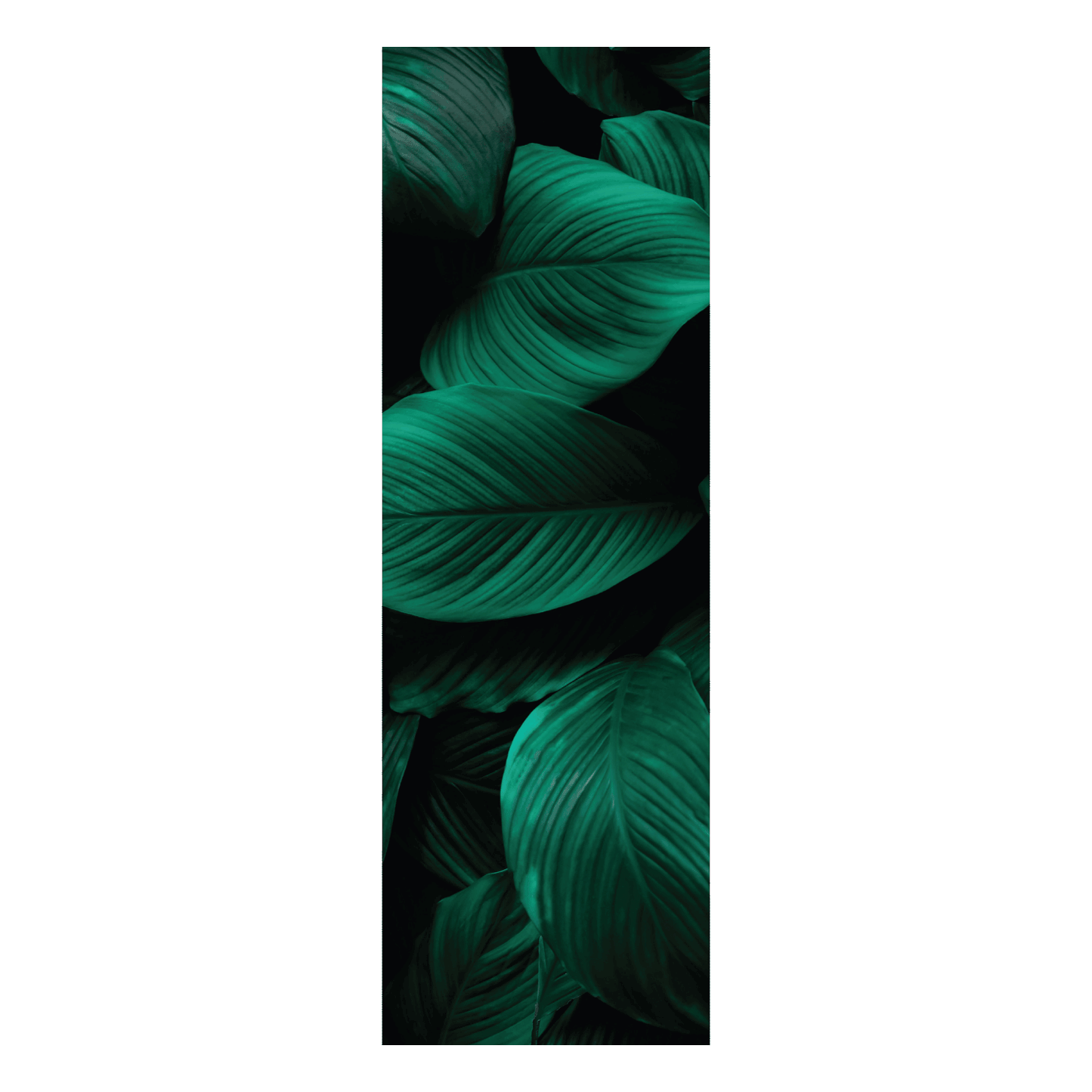 Termoarredo idraulico 120x36 cm interasse mm 50 Modello 'Leaf' Termocrea