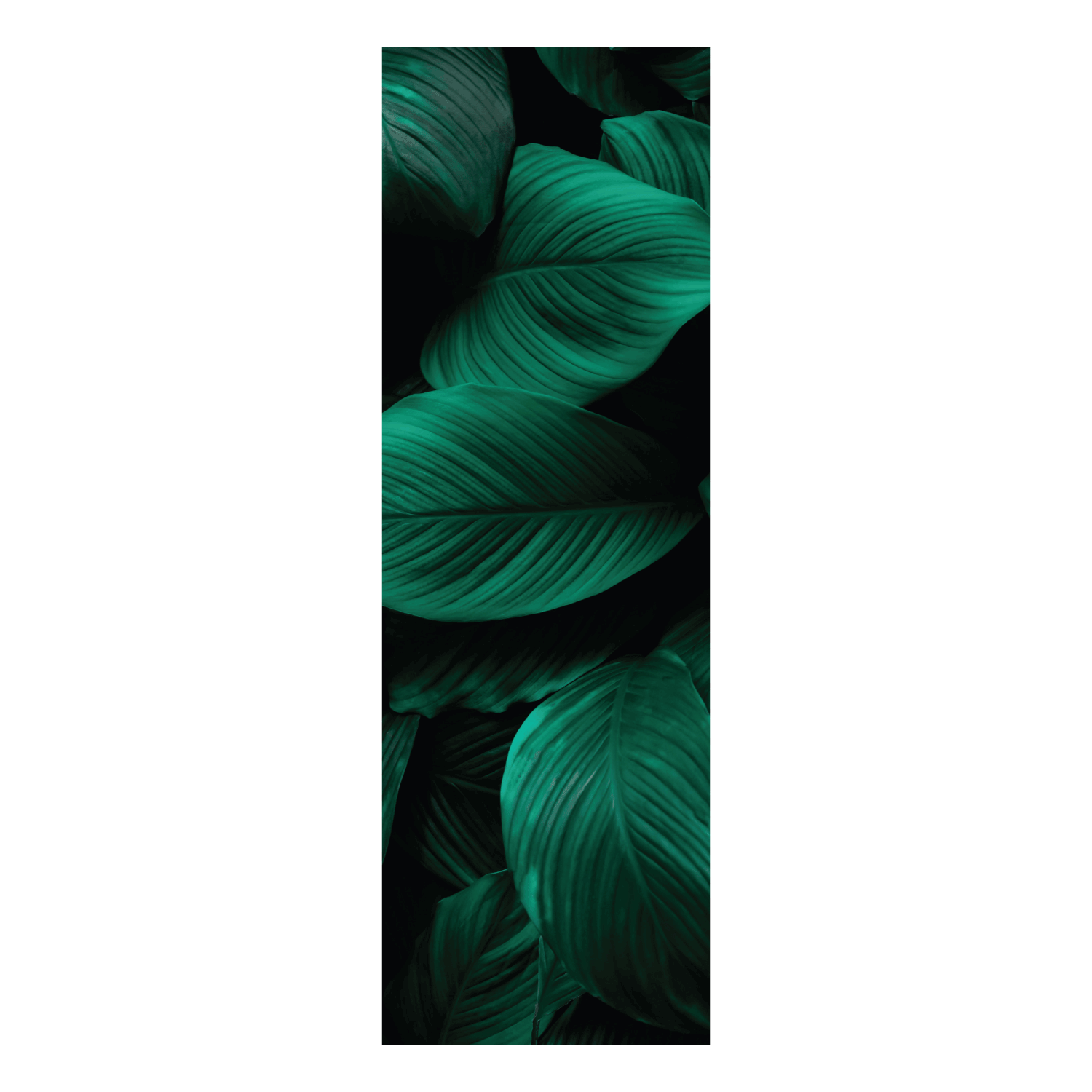 Termoarredo idraulico 120x36 cm interasse mm 50 Modello 'Leaf' Termocrea