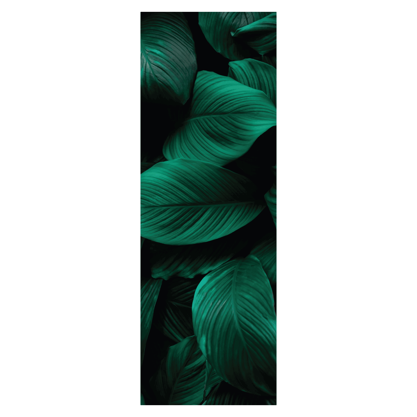 Termoarredo idraulico 180x59 cm interasse mm 50 Modello 'Leaf' Termocrea