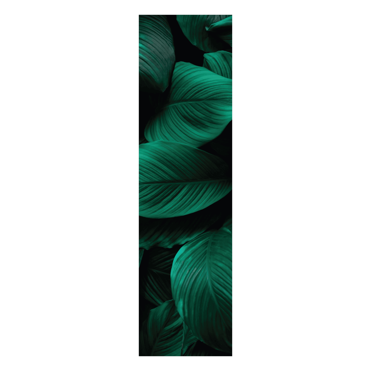 Termoarredo idraulico 200x51 cm interasse mm 50 Modello 'Leaf' Termocrea