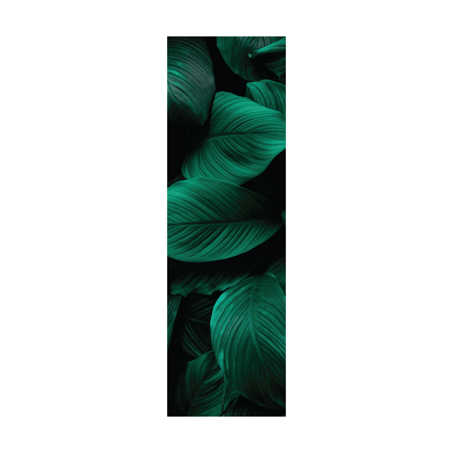 Termoarredo idraulico 200x59 cm interasse mm 50 Modello 'Leaf' Termocrea