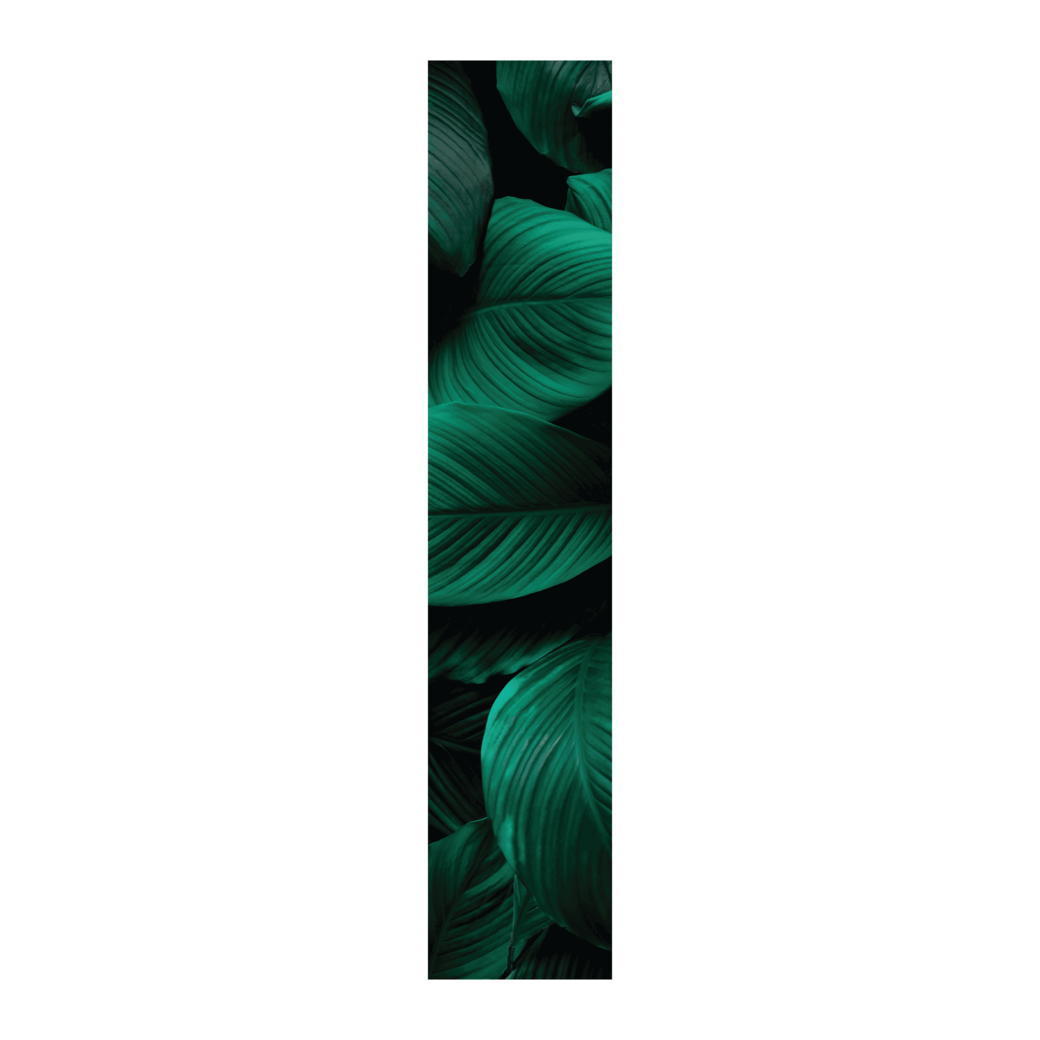 Termoarredo idraulico 200x36 cm interasse mm 50 Modello 'Leaf' Termocrea