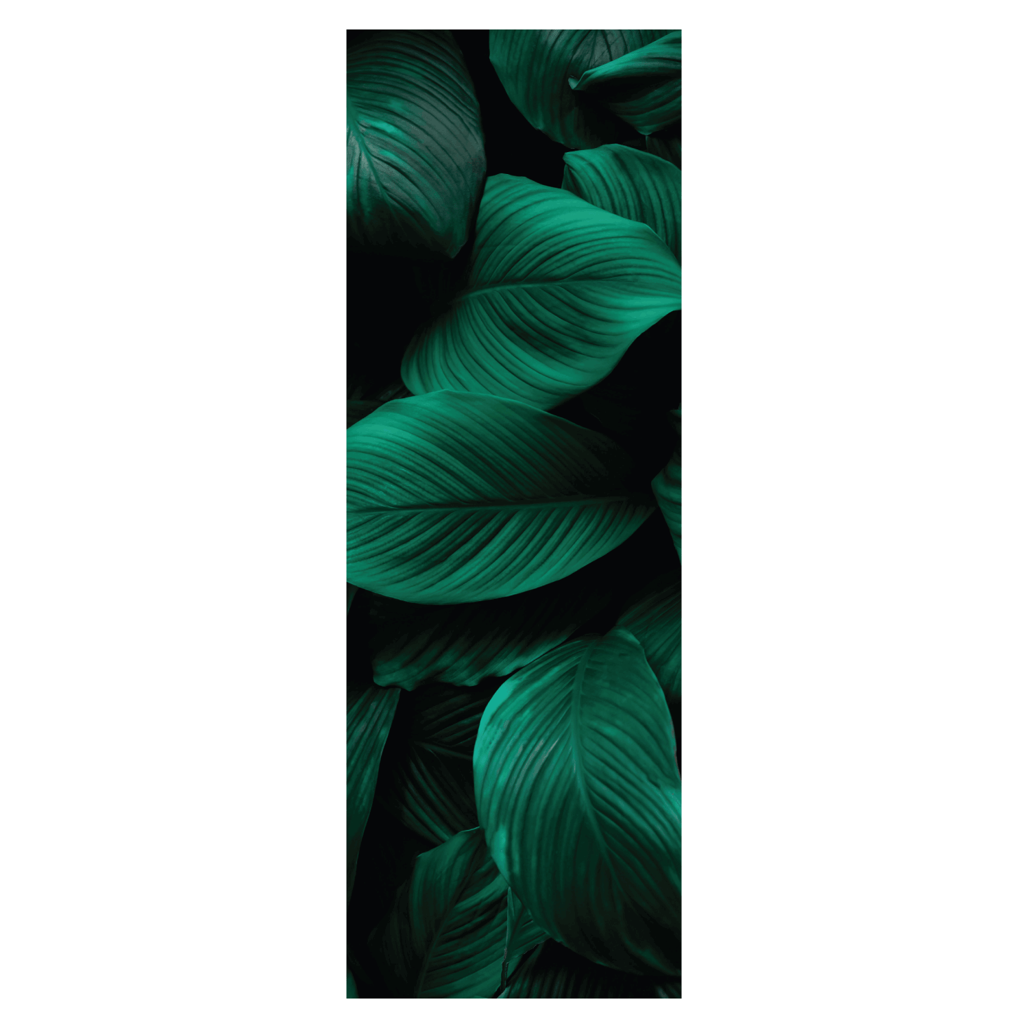 Termoarredo idraulico 150x59 cm interasse mm 50 Modello 'Leaf' Termocrea