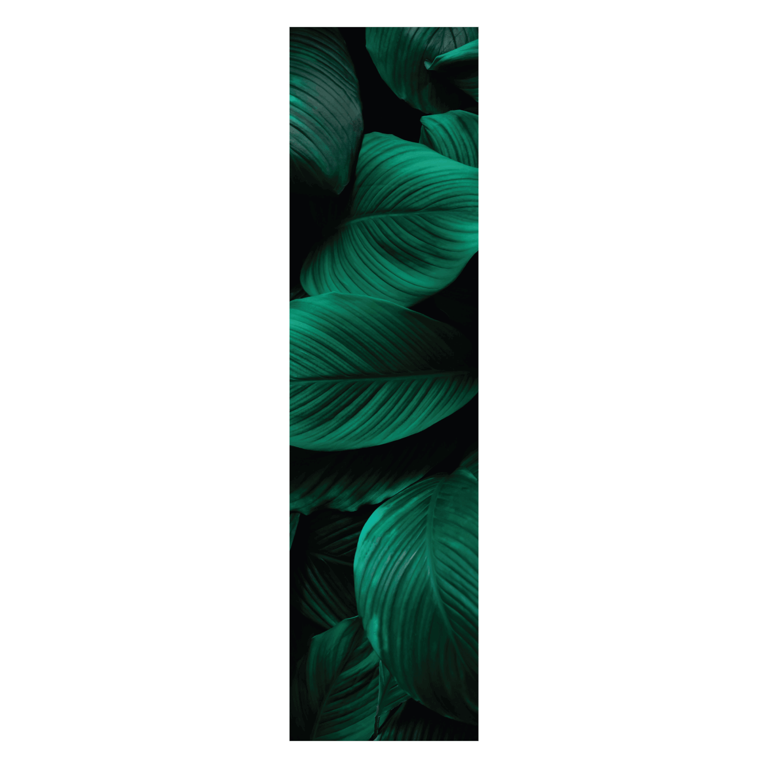 Termoarredo idraulico 150x36 cm interasse mm 50 Modello 'Leaf' Termocrea