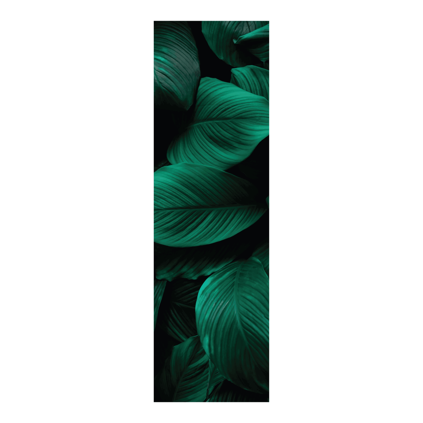 Termoarredo idraulico 180x51 cm interasse mm 50 Modello 'Leaf' Termocrea