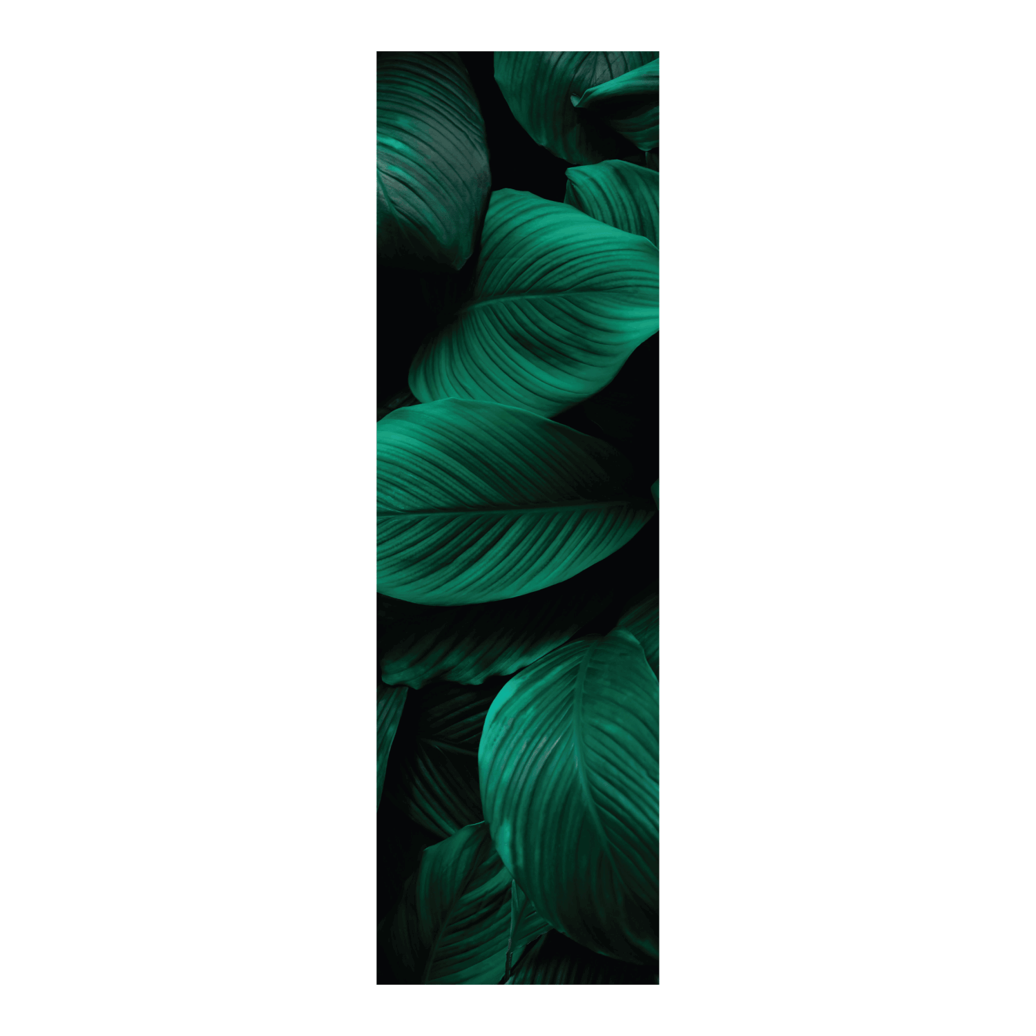 Termoarredo idraulico 180x51 cm interasse mm 50 Modello 'Leaf' Termocrea